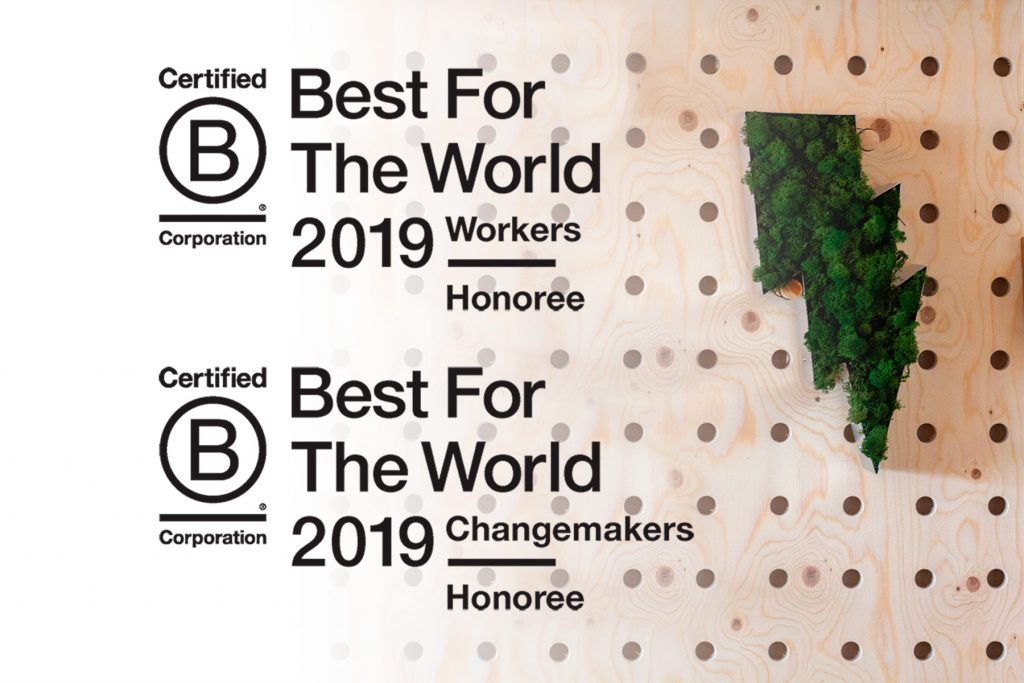 B Corp Movement Leap