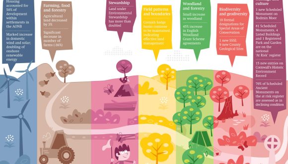 wiltshire wildlife trust infographic by leap design