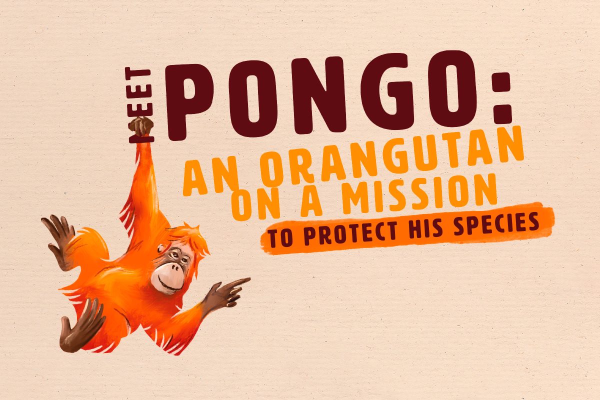 protect pongo graphics by leap design for meridian foods