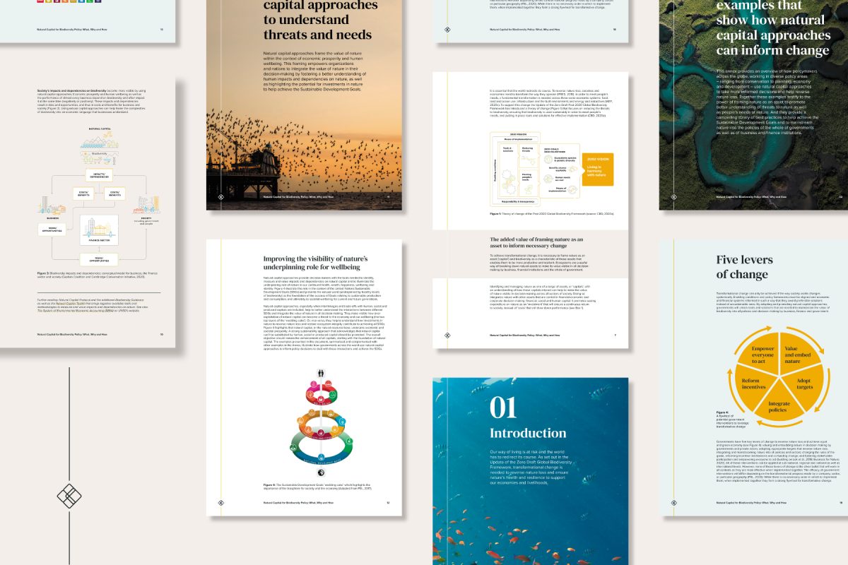 pages taken from Capital Coalition's Biodiversity Report