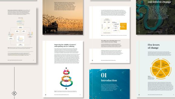 pages taken from Capital Coalition's Biodiversity Report