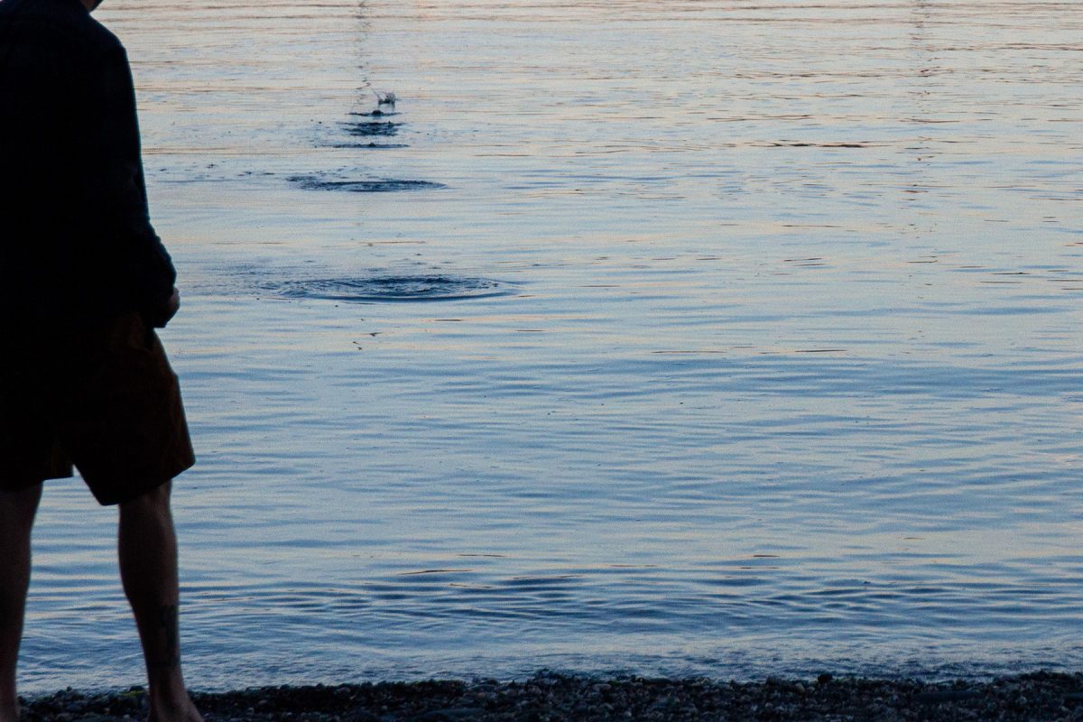skimming stones and ripples