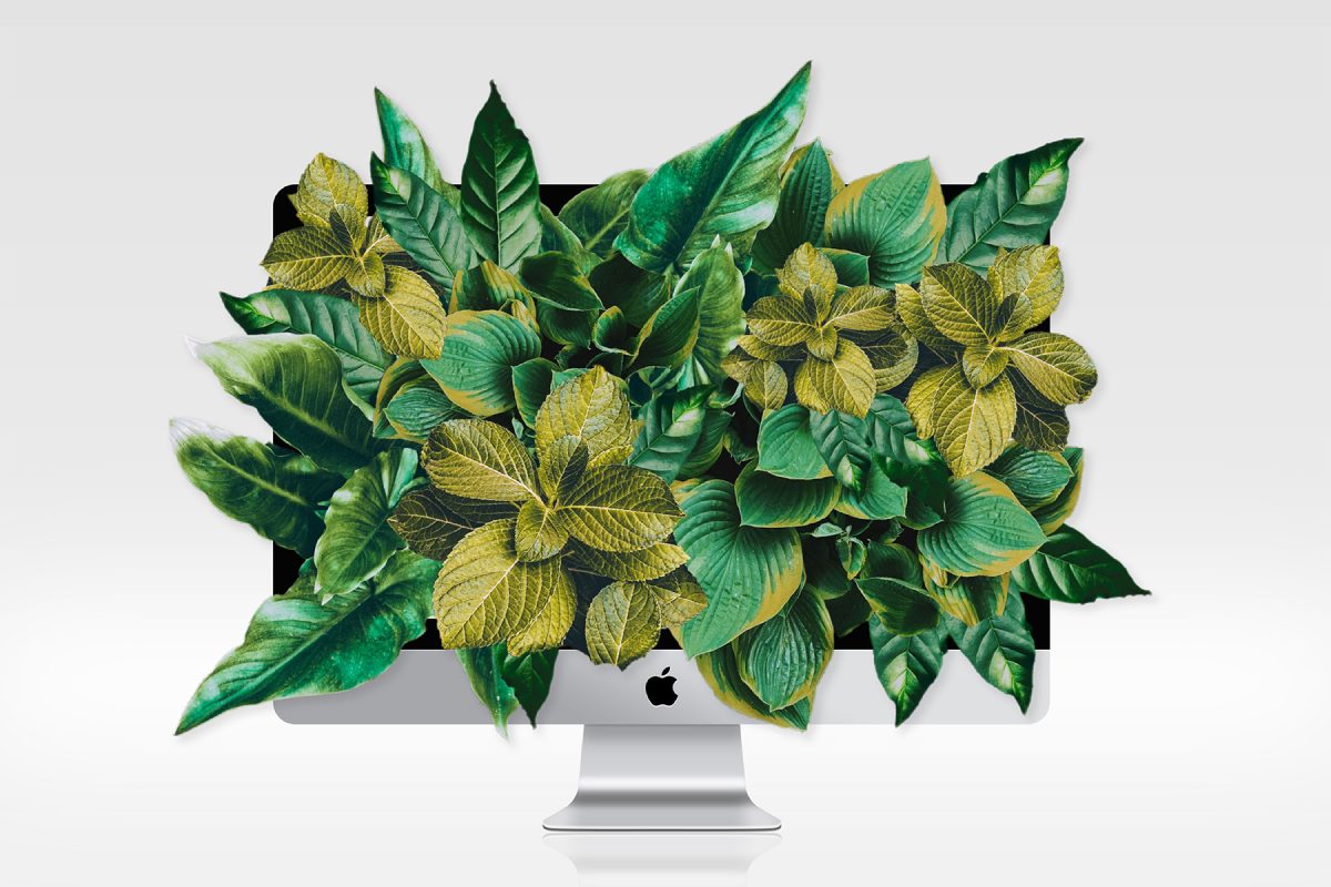 computer screen with foliage bursting out of the screen