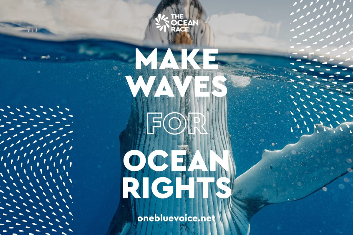 make waves for ocean rights, one blue voice campaign by the ocean race