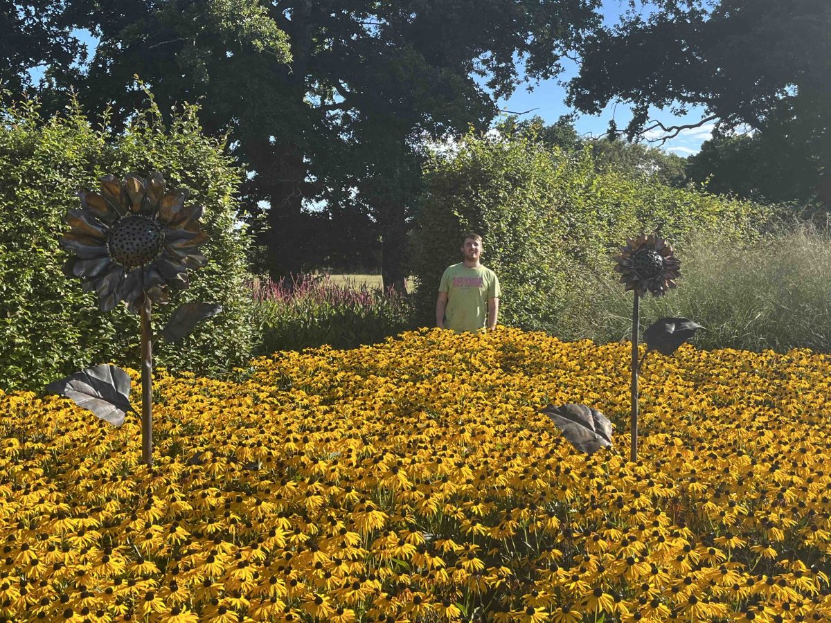 Web hosting expert Corey at Sussex prairie garden