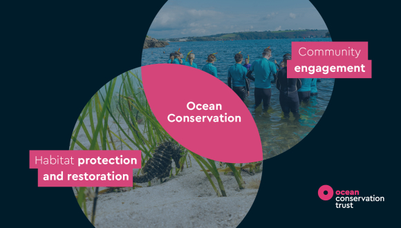 Venn diagram of community and conservation from OCT strategy document designed by Leap