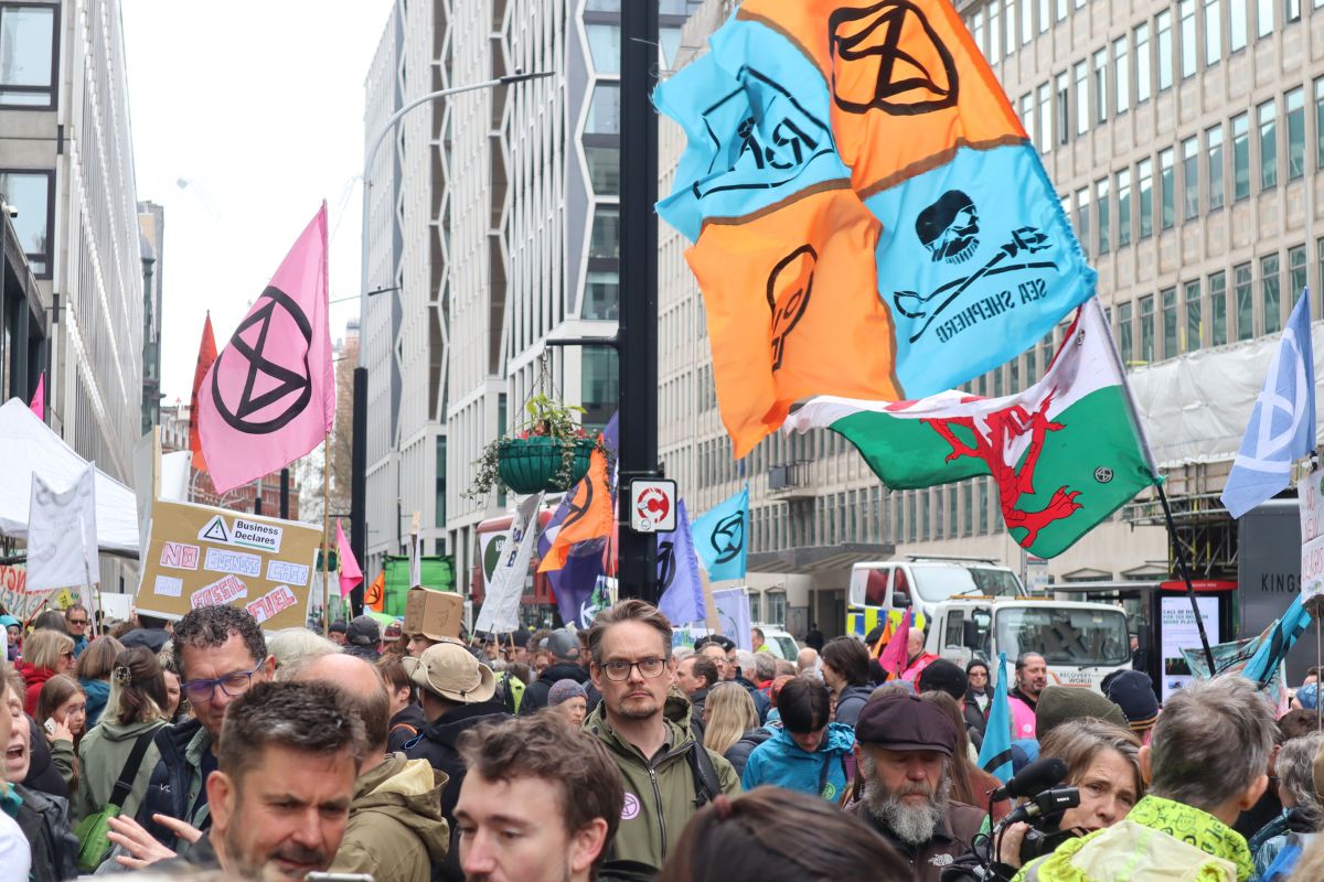 Protesters at The Bog One march in London