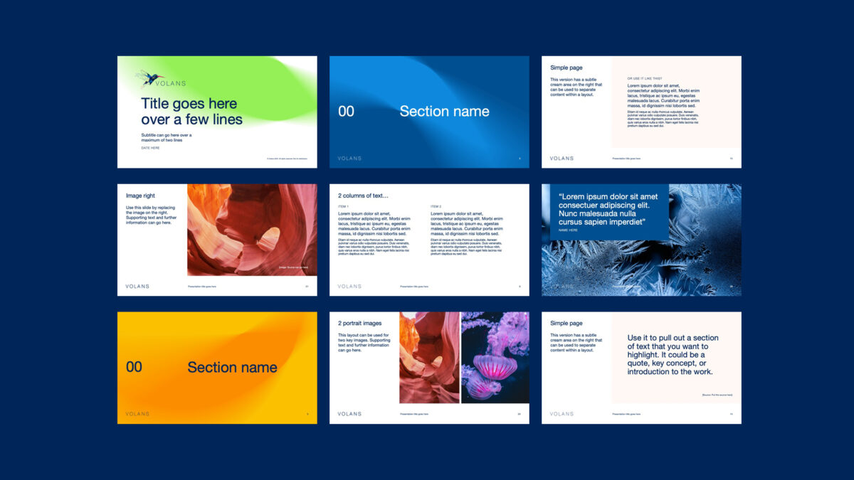 Volans presentation