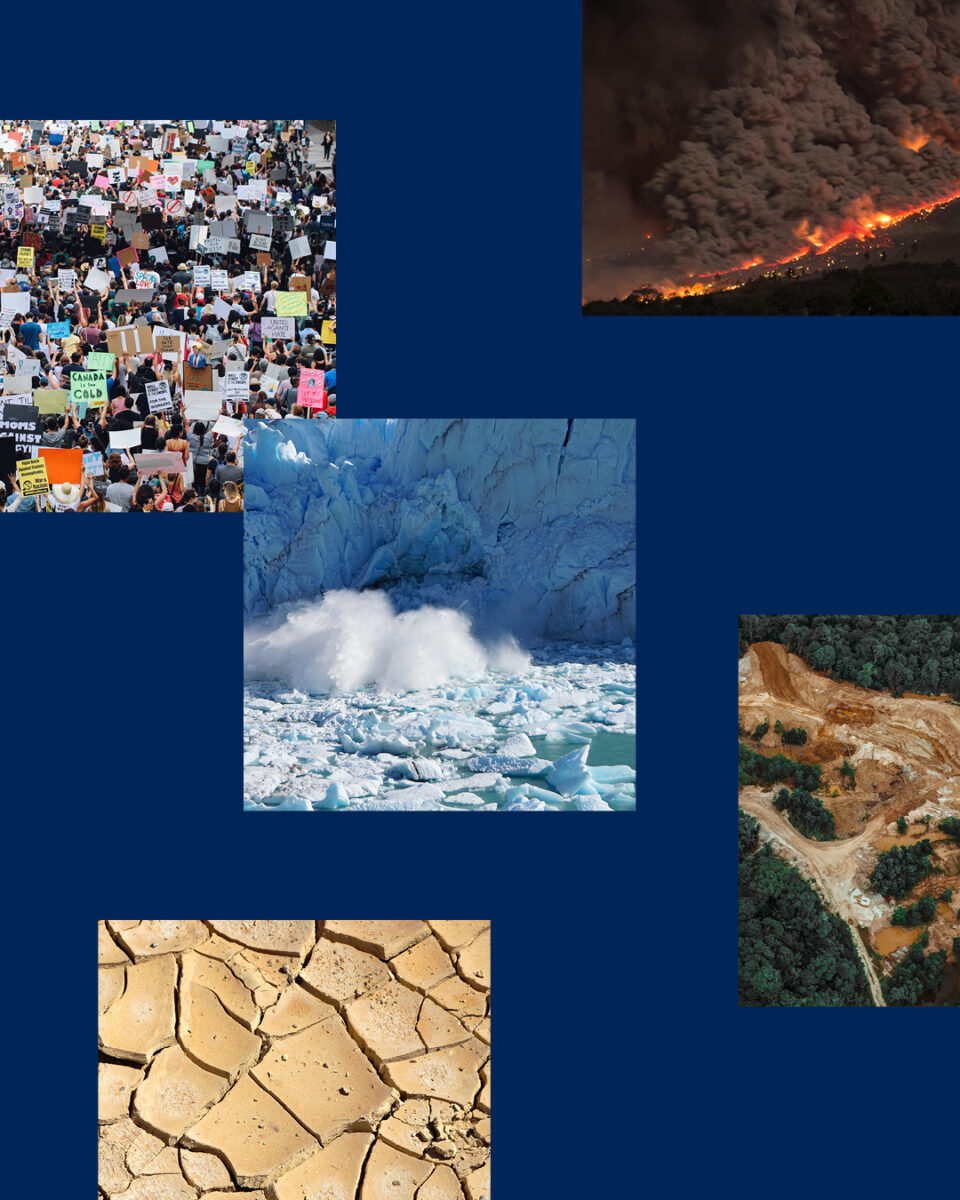 Volans images