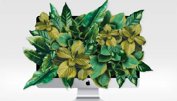 computer screen with foliage bursting out of the screen