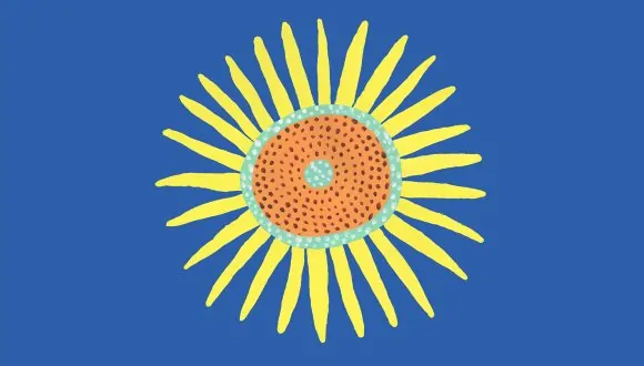 growing sunflowers campaign for ukraine